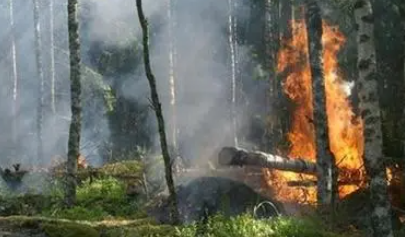 应急管理部:8月各种自然灾害共造成79人死亡失踪